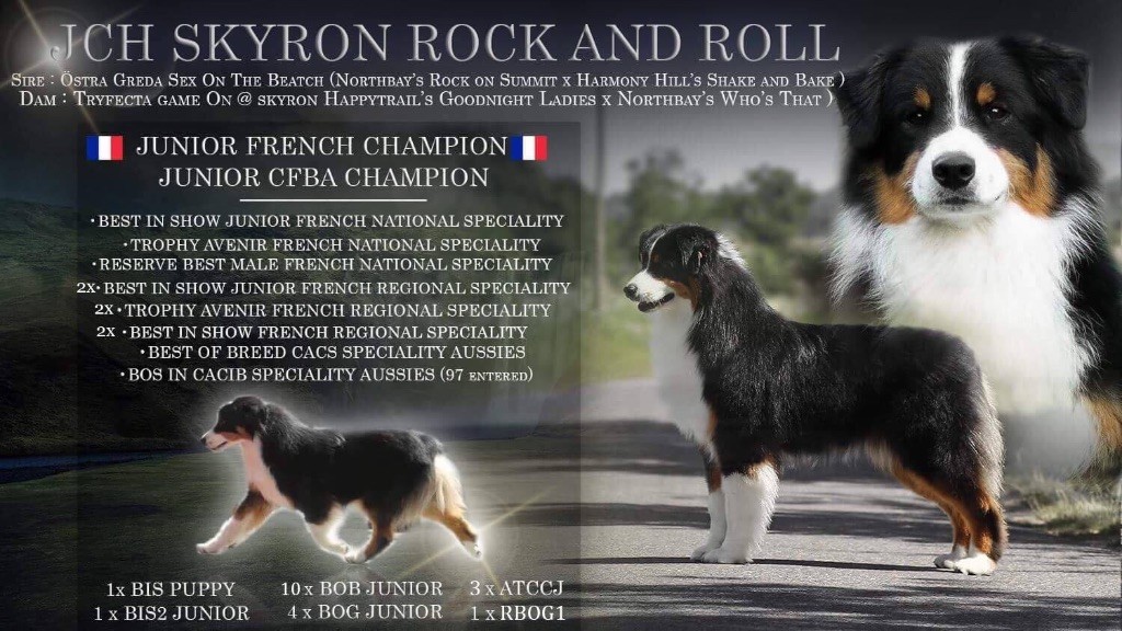 CH. skyron Rock and roll