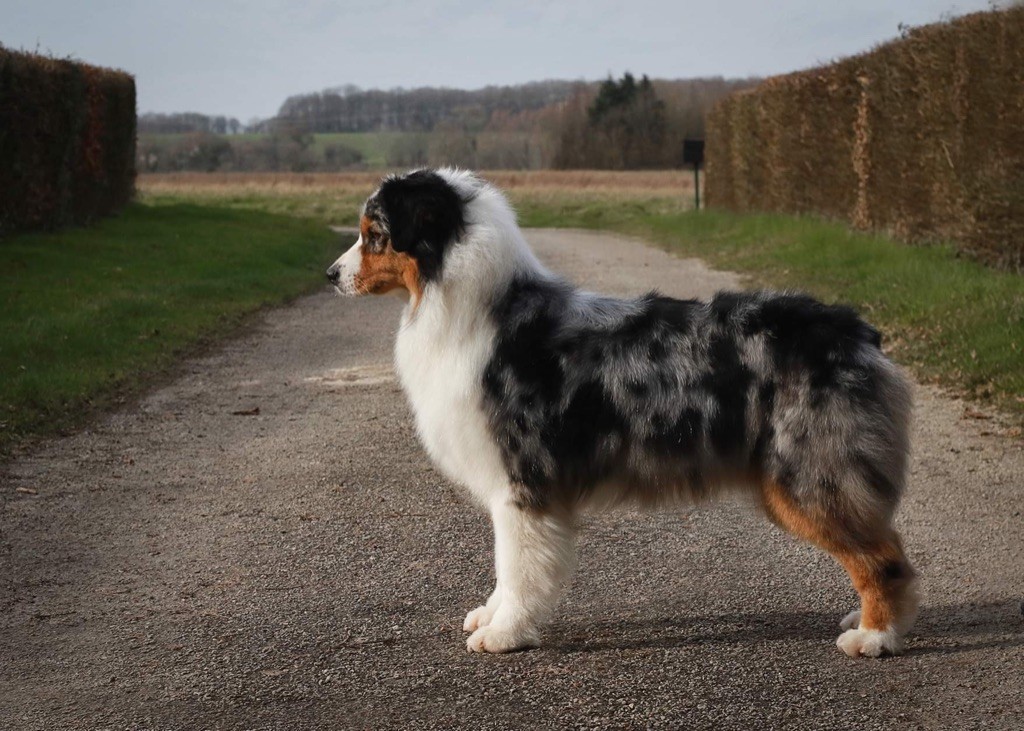 Please call me maddy at dda du chemin de la belle etoile