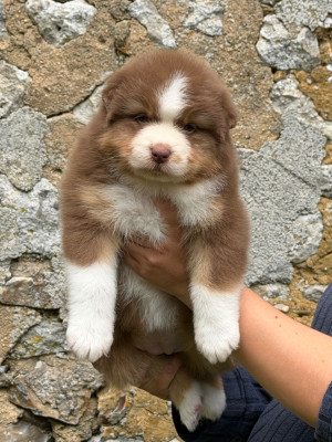 Born to be Lovely « Bounty »